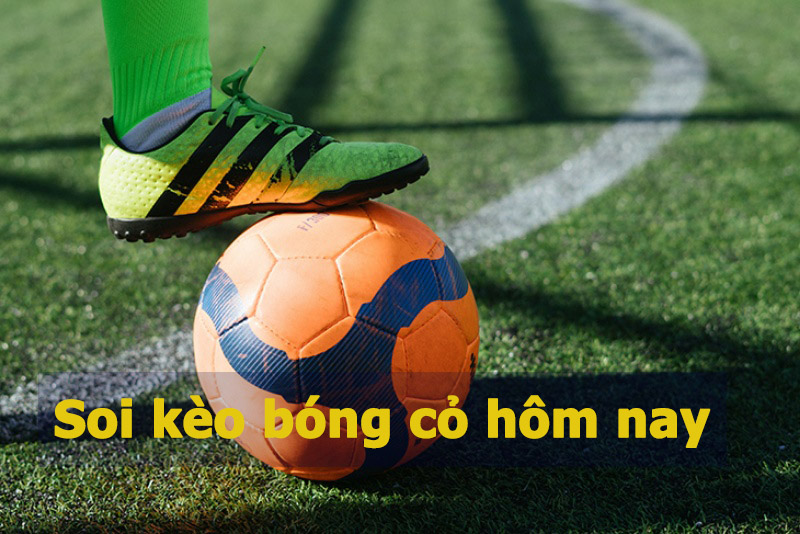 Soi kèo bóng cỏ hôm nay - Nhận định bóng cỏ dễ chơi dễ thắng