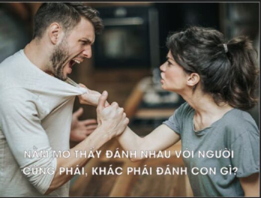 Mơ thấy đánh nhau với người khác phái- Báo hiệu điềm gì?