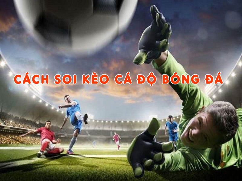 Tổng hợp 5 cách cá độ bóng đá từ siêu cao thủ