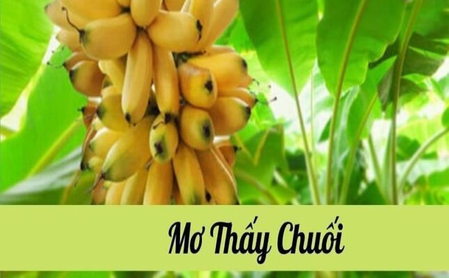 Mơ thấy chuối
