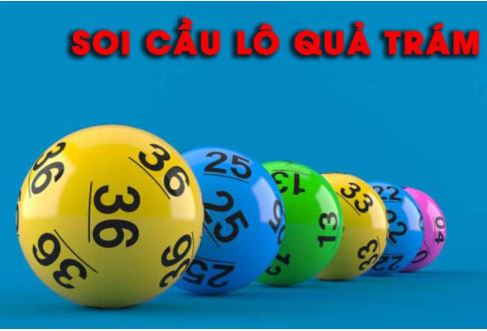 Bí quyết soi cầu quả trám bất bại của cao thủ tại Sin88